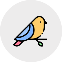 bird